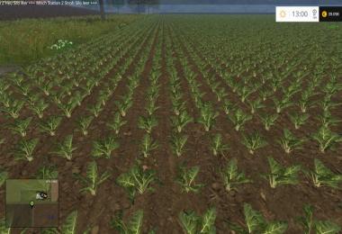 Change row spacing with beets v1.0