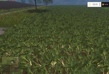 Change row spacing with beets v1.0