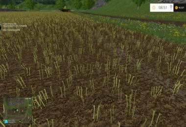 LS 11 Map v2.2.1