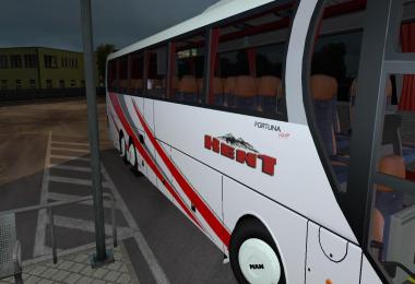 Man Lion's Coach KENT Tourism Skin v1.0