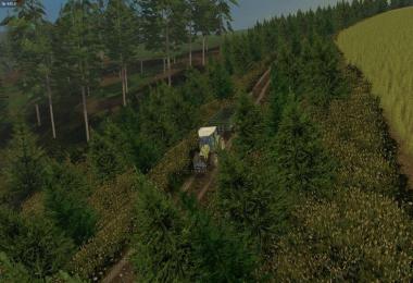 Map The Forest Multifruit V1