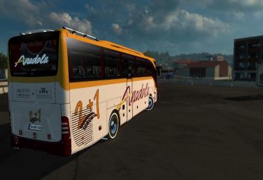 Mercedes Benz Tourismo 15 RHD Anadolu 2+1 Skin v1.0