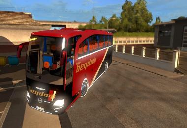 Mercedes Benz Travego 15-17 Malatya Beydagi Skin v1.0