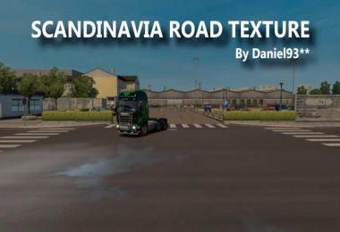 Scandinavia Road Texture v1.07