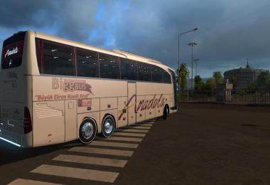 MB Travego S. Edition 15-17 Anadolu Skin v1.0