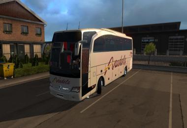 MB Travego S. Edition 15-17 Anadolu Skin v1.0