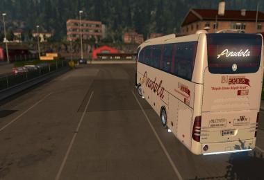 MB Travego S. Edition 15-17 Anadolu Skin v1.0