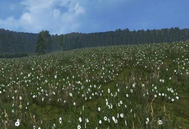 Grass texture v1.0