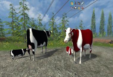 Cow family with Sound v2.0