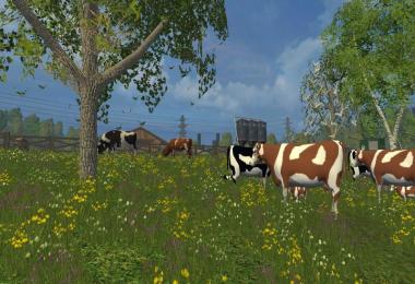 Cow family with Sound v2.0