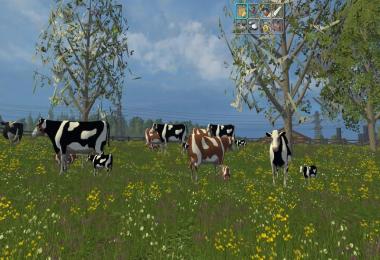 Cow family with Sound v2.0