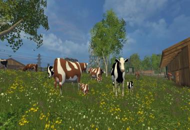 Cow family with Sound v2.0