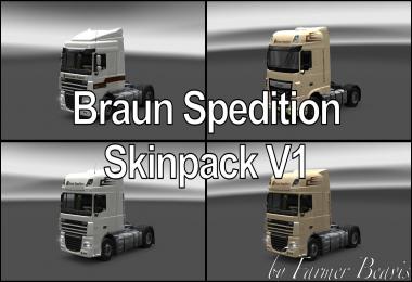 DAF XF SkinPack Braun Spedition v1.0