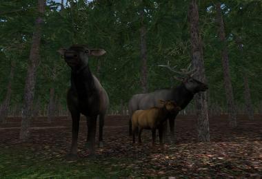 Elks v1.0