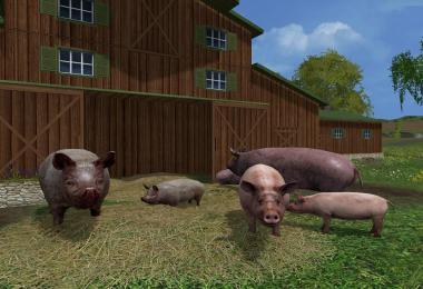 Grunting pigs v1.0