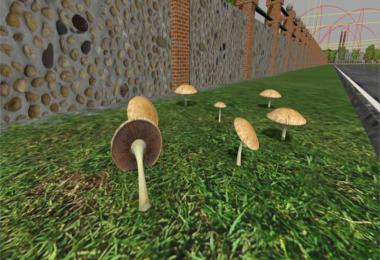 Mushrooms MMR v1.0