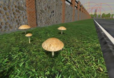 Mushrooms MMR v1.0