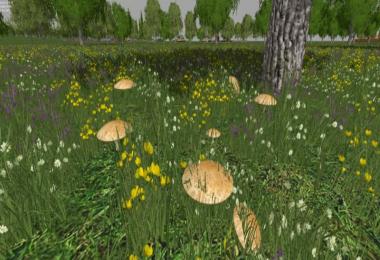 Mushrooms MMR v1.0