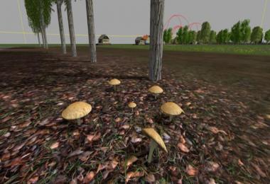 Mushrooms MMR v1.0