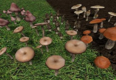 Mushrooms v1.0