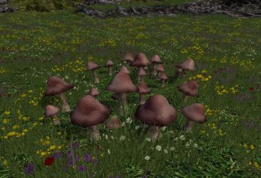 Mushrooms v1.0