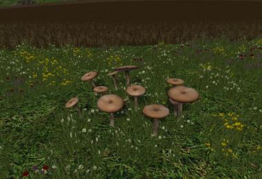 Mushrooms v1.0