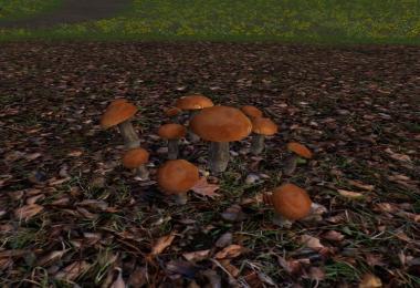 Mushrooms v1.0