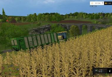 Friedberg v1.02