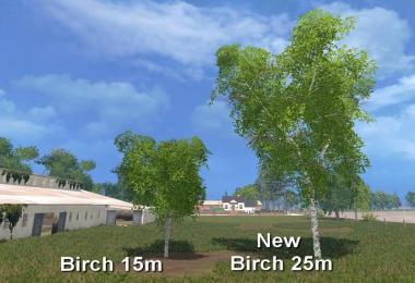 New Forest Birch 25m v1.0