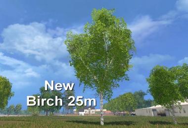 New Forest Birch 25m v1.0