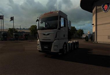 Smet skin for Man Euro6