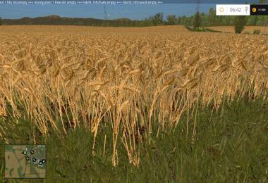 Wheat & Barley real texture v1.1