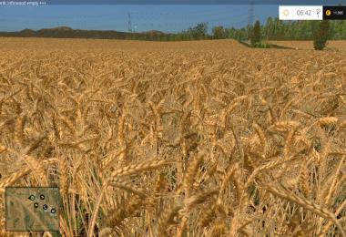 Wheat & Barley real texture v1.1