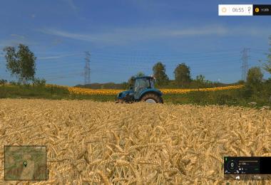 Wheat & Barley real texture v1.1