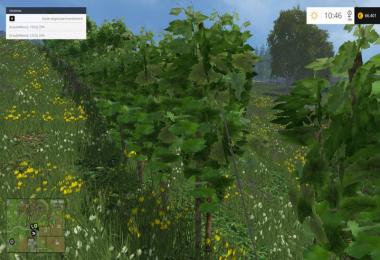 Weinreben pack v1.1.0