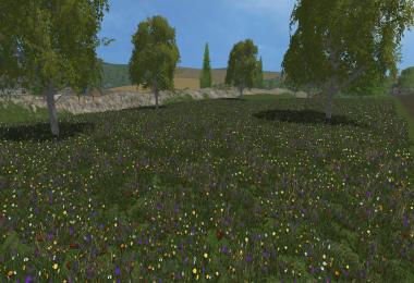 New grass texture