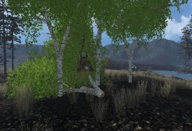 Birch cases without Harvester v1.0