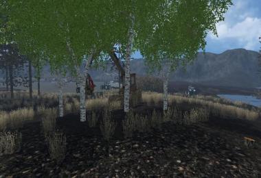 Birch cases without Harvester v1.0