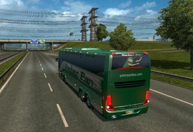 Bus Marcopolo G7 1600LD Peter Pan Skin 1.22.x