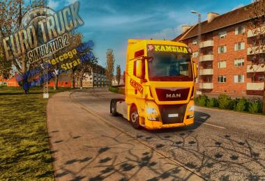 MAN TGX E6 Kamelia v1.0