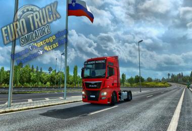 MAN TGX E6 Mandic 1.0