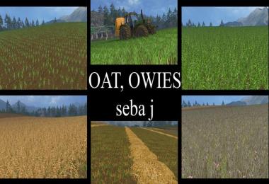 OAT TEXTURE v1.0