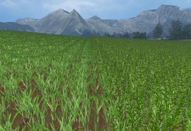 OAT TEXTURE v1.0