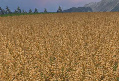 OAT TEXTURE v1.0