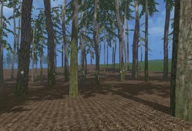 Pine trees with marks v0.1