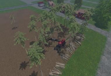 Pine trees with marks v0.25