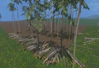 Pine trees with marks v0.25