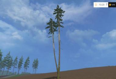 Pine trees with marks v0.3