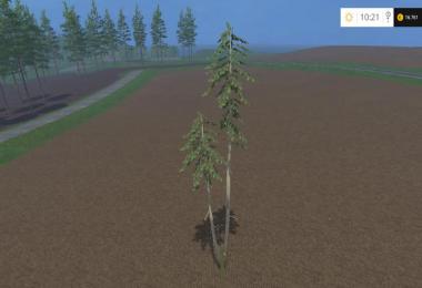 Pine trees with marks v0.3