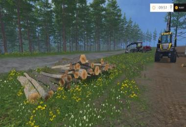 Pine trees with marks v0.3